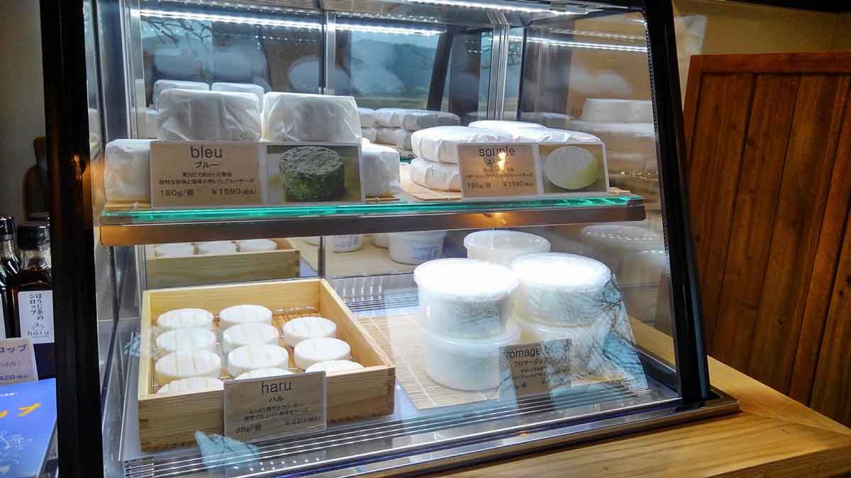 古民家宿るうふ波之家：地元産のチーズが買える自然の中のチーズ工房・カフェ／店内イメージ