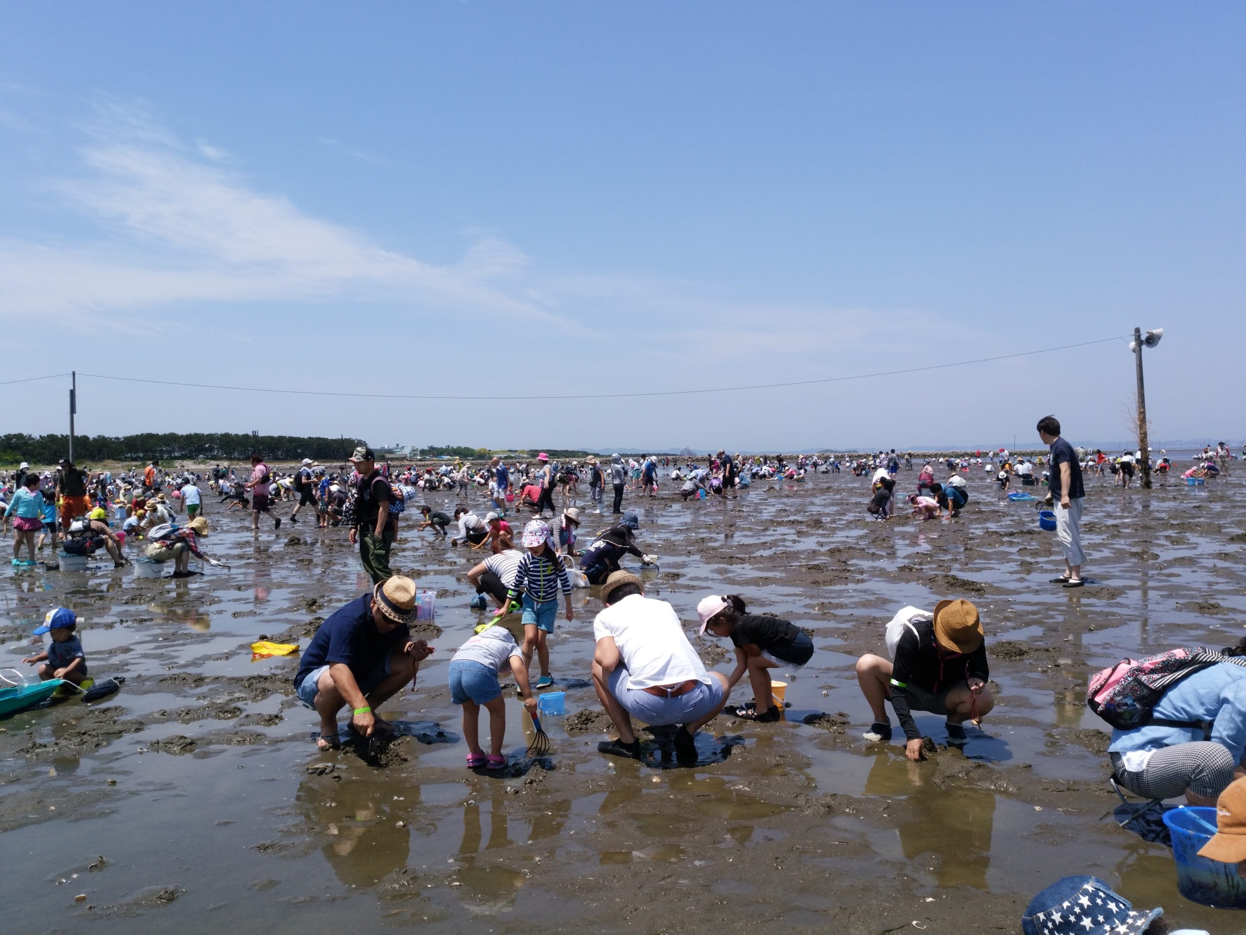 千葉県・揺之家からすぐ！富津海岸で、家族みんなで潮干狩り | 一棟貸し古民家宿るうふ